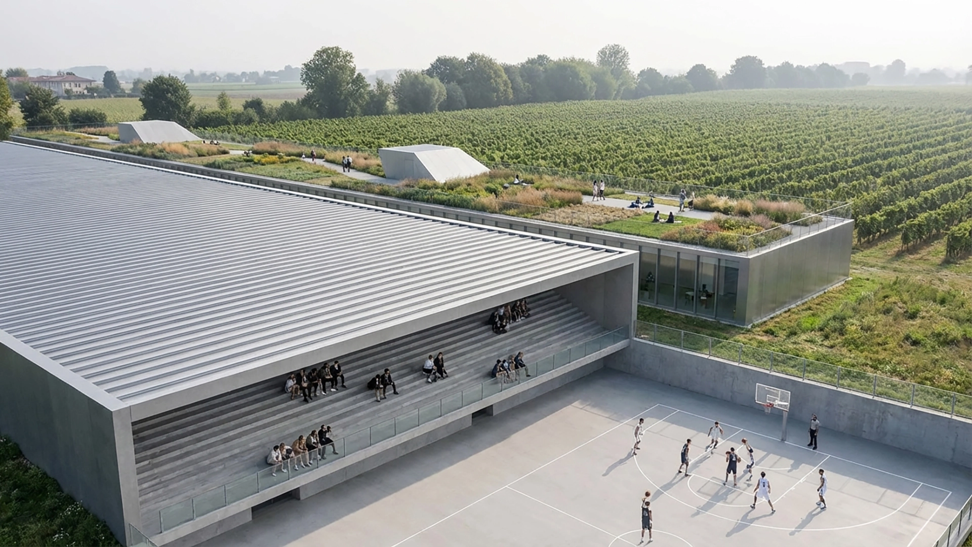 Vista prospettica del campo da basket e spazi esterni: integrazione tra sport, architettura scolastica e paesaggio rurale.